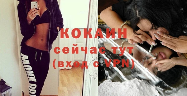 mdpv Инсар