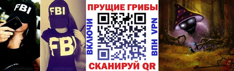 kraken вход  Чапаевск  Псилоцибиновые грибы мухоморы 